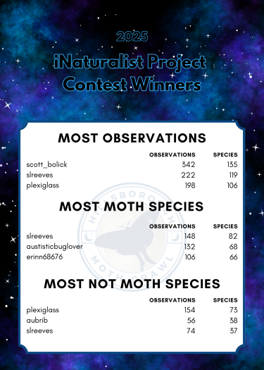 Backyard Butterflies Copy (3)